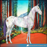 Horse Color:Watercolor White Spotted Sable Champagne Ice Appaloosa 