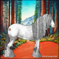 Horse Color:White Spotted Brown Ice Sabino Appaloosa Rabicano 