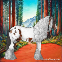 Horse Color:White Spotted Brown Tobiano Near Leopard 