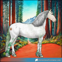 Horse Color:Watercolor White Spotted Buckskin Snowcap 