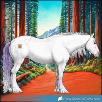 Horse Color:Watercolor White Spotted Liver Red Dun Roan Appaloosa Rabicano 