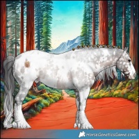 Horse Color:White Spotted Brown Ice Appaloosa 