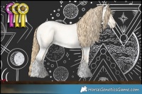 Horse Color:Buckskin Roan Pearl  and White Spotted Buckskin Roan Pearl 