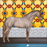 Horse Color:Red Roan 