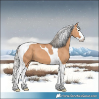 Horse Color:Silver Bay Dun Splash Tobiano 