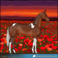 Horse Color:Silver Brown Tobiano 
