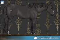 Horse Color:Smoky Black 