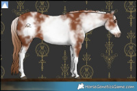 Horse Color:White Spotted Chestnut Frame 