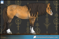 Horse Color:Buckskin 
