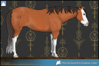 Horse Color:Bay Splash 