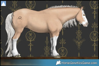 Horse Color:Silver Classic Champagne Splash 