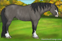 Horse Color:Grullo Sabino Rabicano 