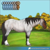 Horse Color:Bay Roan Rabicano 