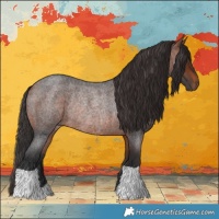 Horse Color:Bay Roan Rabicano