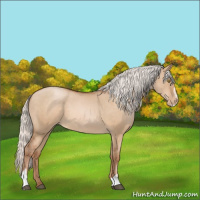 Horse Color:Silver Bay Pearl Dun Sabino 