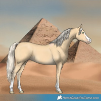 Horse Color:Gold Cream Champagne 