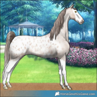 Horse Color:Amber Champagne Roan Splash Blanket 
