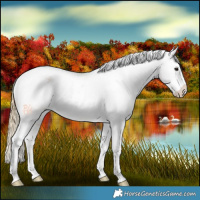 Horse Color:Red Roan Splash Varnish 