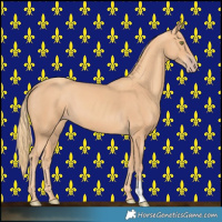 Horse Color:Gold Champagne