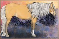 Horse Color:Silver Buckskin 