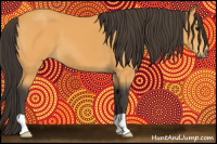 Horse Color:Buckskin 