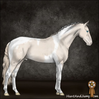 Horse Color:Smoky Creme Tobiano Appaloosa
