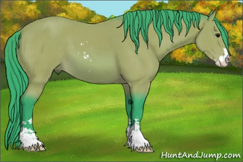 Horse Color:Watercolor Bay Sabino 
