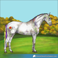 Horse Color:Painted Nacre White Spotted Silver Smoky Grullo Splash Tobiano Frame 