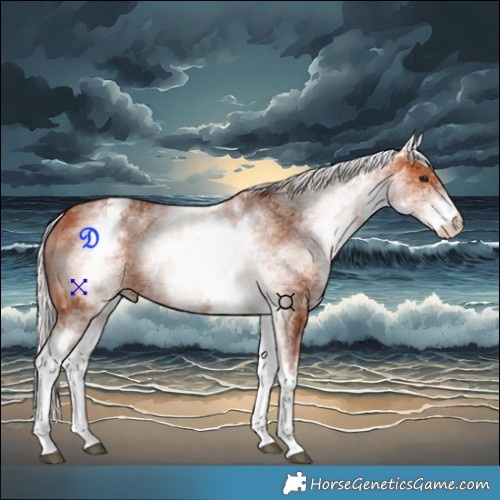 Horse Color:White Spotted Silver Bay