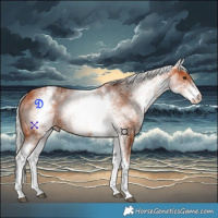 Horse Color:White Spotted Silver Bay 
