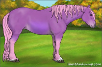 Horse Color:Watercolor Bay Sabino 
