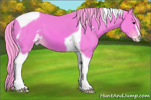 Horse Color:Watercolor Bay Sabino Tobiano 
