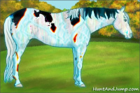 Horse Color:Thunderstruck Silver Buckskin Ice Pearl Tobiano Varnish