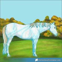 Horse Color:Thunderstruck Buckskin Ice Roan Pearl Dun Tobiano 