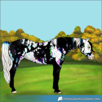 Horse Color:White Spotted Silver Bay Ice Tobiano Blanket 