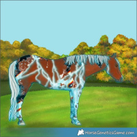 Horse Color:Thunderstruck Silver Bay Tobiano 