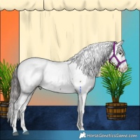 Horse Color:Liver Red Dun Near Fewspot 