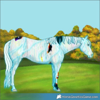 Horse Color:Thunderstruck Cremello Ice Tobiano 