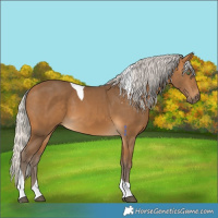 Horse Color:Silver Buckskin Tobiano