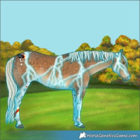 Horse Color:Thunderstruck Chocolate Palomino Tobiano 