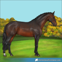 Horse Color:Brown 