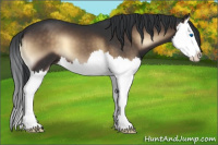 Horse Color:Brown Onyx Splash 