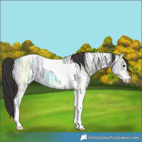 Horse Color:Smoky Black Ice Sabino Tobiano 