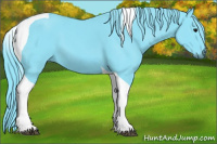 Horse Color:Watercolor Black Tobiano