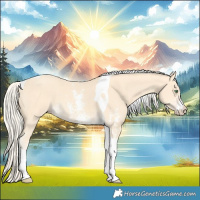 Horse Color:Gold Cream Champagne Sabino Tobiano 