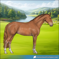 Horse Color:Chestnut Rabicano 