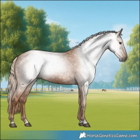 Horse Color:Gray Chestnut Rabicano 