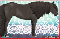 Horse Color:Smoky Black 