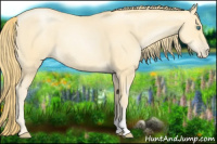 Horse Color:Smoky Black Pearl 