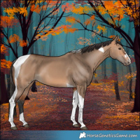 Horse Color:Bay Dun Tobiano 